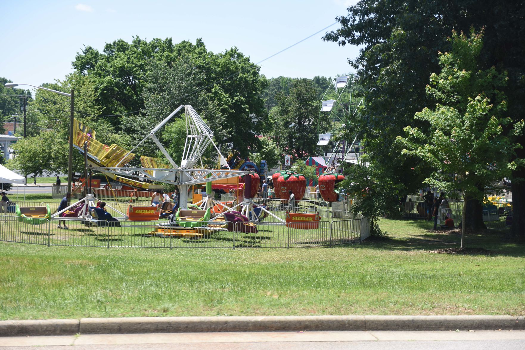 Festival in the Park